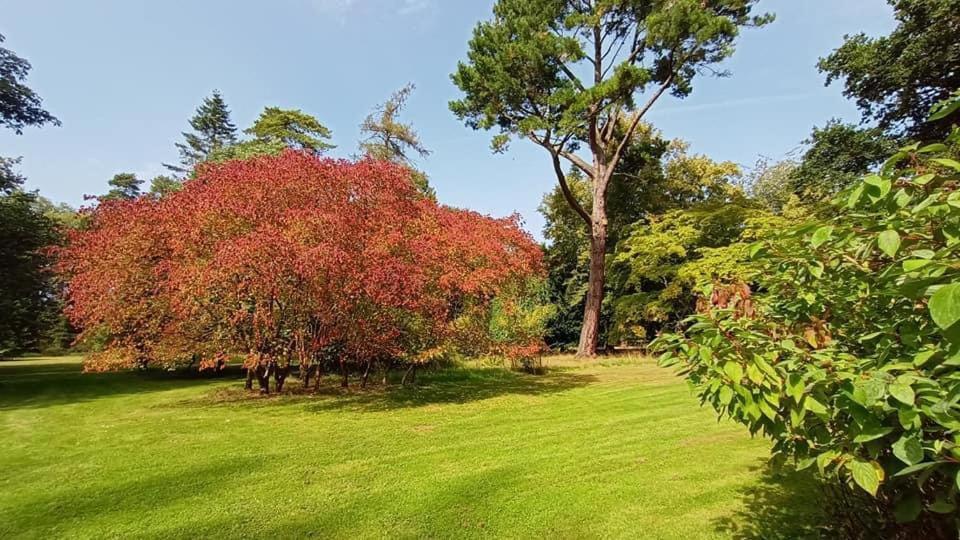 Stunning Modern Apartment In The Cotswolds Chalford Ngoại thất bức ảnh